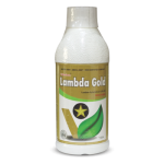 Lambada Gold