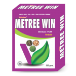 Metree Win