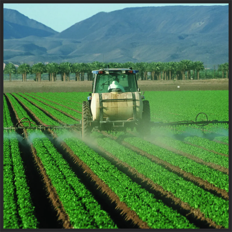 Institutional Institutional